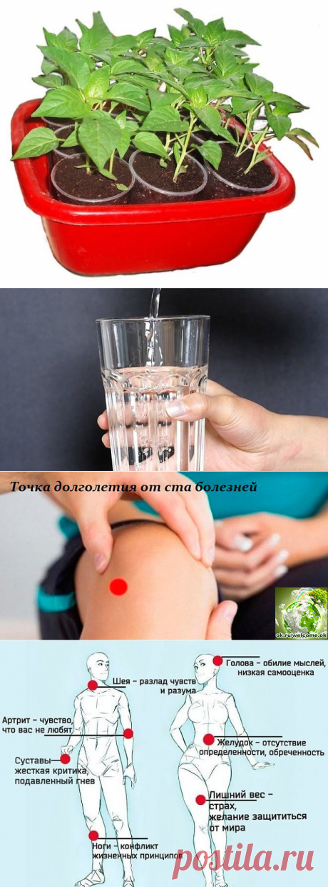 (47) Одноклассники