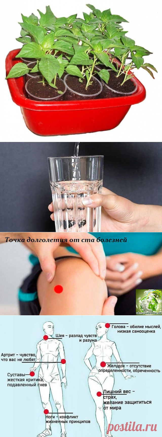 (47) Одноклассники