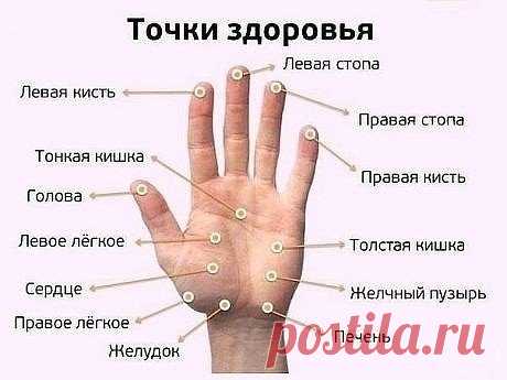 МАССИРУЯ ПАЛЕЦ ПО 1 МИНУТЕ В ДЕНЬ, ПОРАЗИШЬСЯ ТОМУ, ЧТО СЛУЧИТСЯ С ТВОИМ ТЕЛОМ  
 
Точки на большом пальце отвечают за сердце и легкие. Учащенное сердцебиение можно постепенно исправить с помощью массажа этого пальца.  
 
Указательный палец  
 
Отвечает за работу ЖКТ. Боли в животе, трудности при пищеварении можно легко преодолеть, массируя указательный палец.  
 
Средний палец  
 
Циркуляция