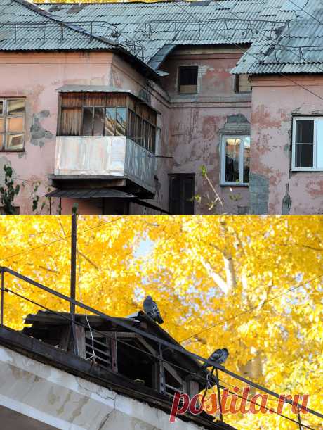 &quot;Мы с Потока&quot;: путешествие по городским окраинам Барнаула :: ИА АМИТЕЛ