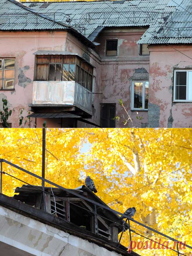 "Мы с Потока": путешествие по городским окраинам Барнаула :: ИА АМИТЕЛ
