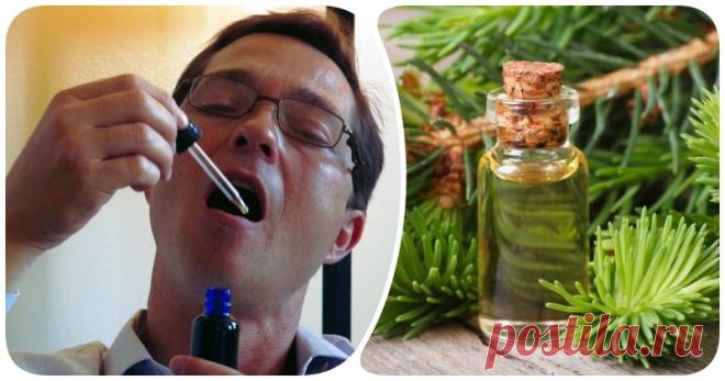 Капля на язык и вы здоровы: избавиться от кашля, простуды и боли в горле поможет пихтовое масло