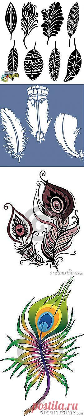 Трафареты. Птицы и перья! | ЖЕНСКИЙ МИР
