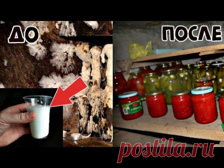 Ну просто волшебное средство от плесени и грибков в погребе! Работает на 100% с одной обработки!