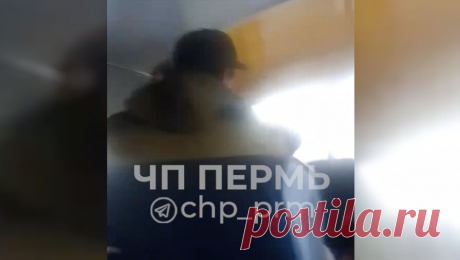 Водитель школьного автобуса напал на подростка и схватил его за шею. В селе Юрла водитель школьного автобуса набросился на подростка с кулаками, схватил его за шею и выбросил мобильный телефон на дорогу. Видео инцидента очевидцы публикуют в социальных сетях. Причины конфликта между подростком и водителем ...