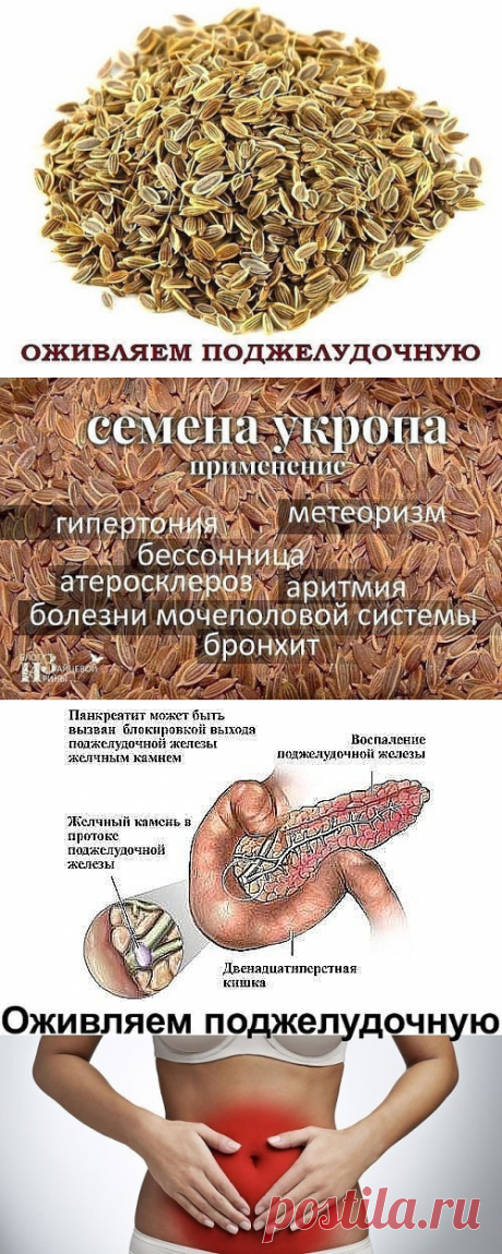 (50) Одноклассники