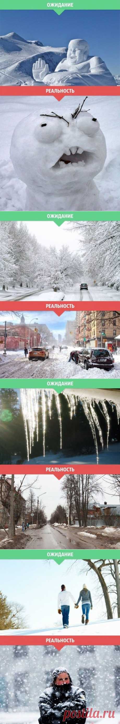 Зима: ожидания vs. реальность (14 фото)