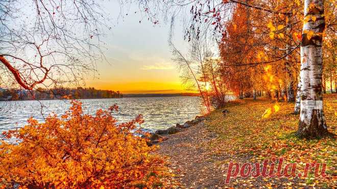 Завершилась наша утренняя викторина, ответ на последний вопрос:
в) святость Евр.12:14 Да благословит вас всех Господь! Пусть мир Его и благость пребудут с вами!