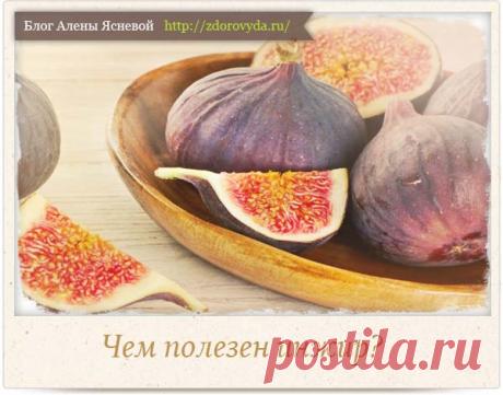 Чем полезен инжир для организма человека - полезные советы