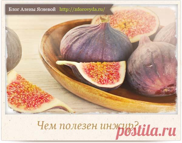 Чем полезен инжир для организма человека - полезные советы