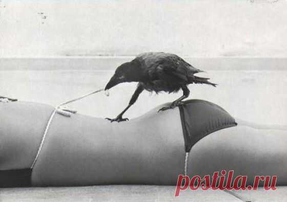 Интересные новости