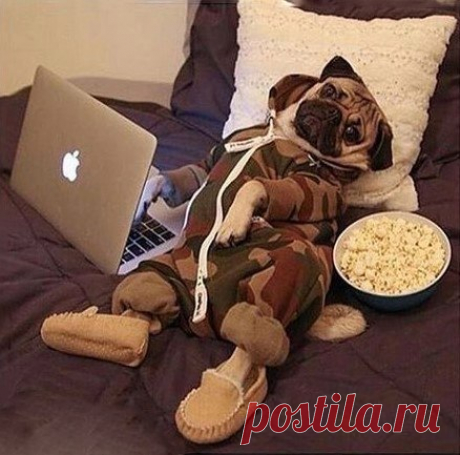 Жизнь удалась