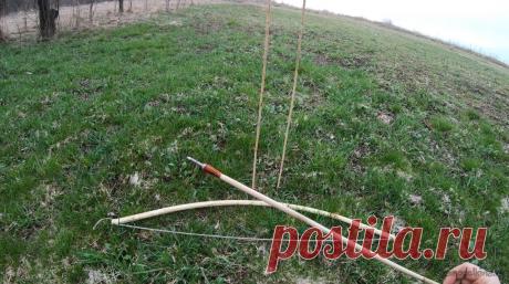 Лук из детства (из лещины и болотного тростника) Решил я впасть в детство и изготовил лук, который у меня был в юности. Впервые мне его сделал дед, а потом такие луки появились у других во дворе, а впоследствии я заметил подобное оружие даже в других микрорайонах. Конечно, во дворах такими игрушками лучше не играть, можно повредить чью-то