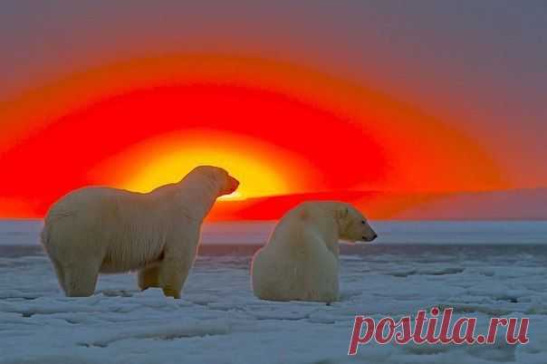 ОТДЫХ