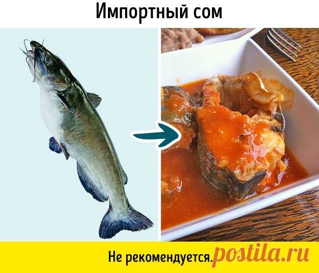 9 видов рыбы, которые не стоит есть