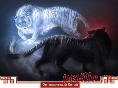 ИНЬ-ЯН – ОСНОВА БЫТИЯ.