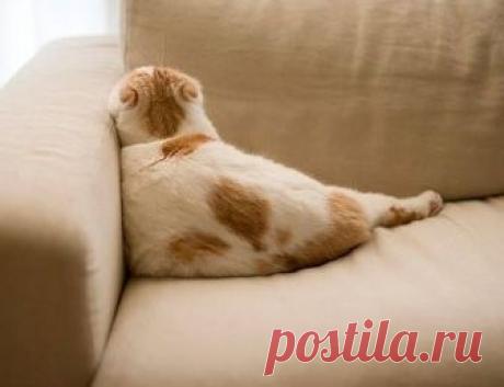 Шедевры рекламы - Фото