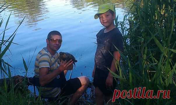 Дружковка 1014 / Богатая добыча