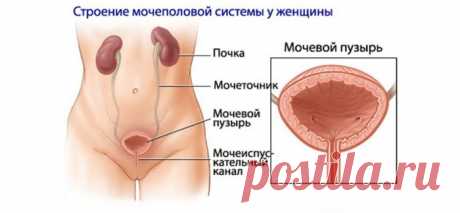 Жжение, боль и рези при мочеиспускании у мужчин и женщин: причины и лечение