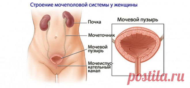 Жжение, боль и рези при мочеиспускании у мужчин и женщин: причины и лечение