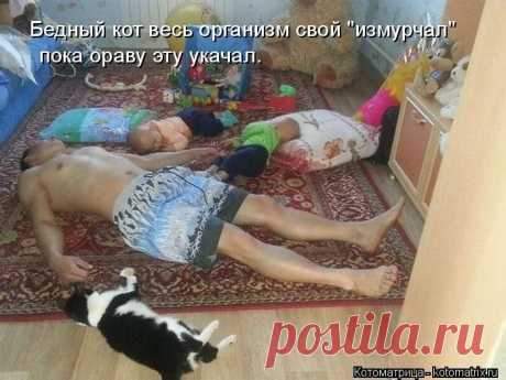 kotomatritsa_lv.jpg (Изображение JPEG, 700 × 525 пикселов)