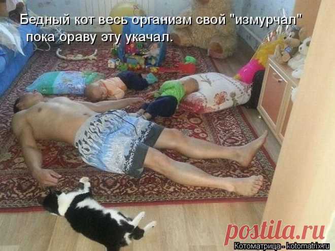 kotomatritsa_lv.jpg (Изображение JPEG, 700 × 525 пикселов)