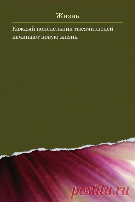 Цитата про «Жизнь» — Каждый понедельник тысячи людей начинают новую…