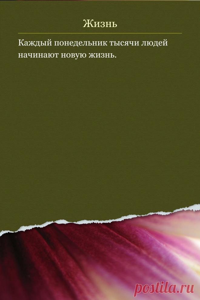 Цитата про «Жизнь» — Каждый понедельник тысячи людей начинают новую…