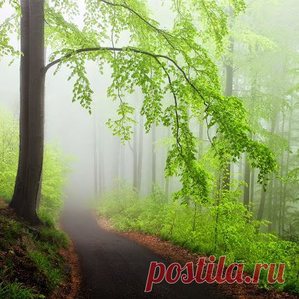 Лучшие фото – Пейзажи/Флора – Community – Google+