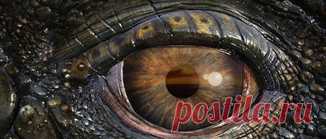 фильмы в онлайн кинотеатре ivi.ru прямо сейчас!