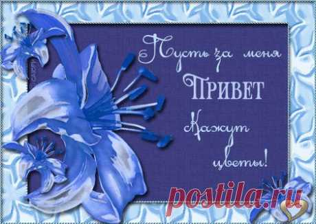 Привет