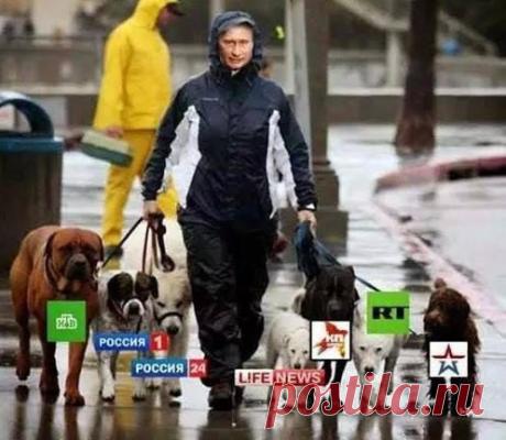 Stepan: Радоватса каждому дню!
