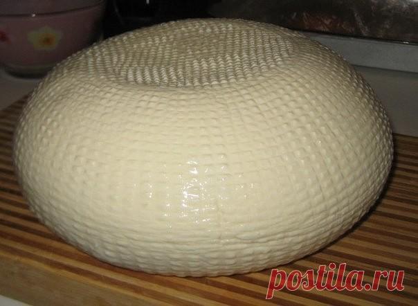 ДОМАШНИЕ СЫРЫ - 15 ВАРИАНТОВ ПРИГОТОВЛЕНИЯ.

Приготовление домашнего сыра - не такая сложная задача, как может показаться на первый взгляд. Раскрываем секреты приготовления. Хочу предложить Вам очень вкусные и довольно простые рецепты домашних сыров. Часто для этого нужны всего лишь молоко и лимон...

1. Домашний сыр с куркумой

Для приготовления нам нужно: 

- Молоко-жирностью 3,2% или более, 1 литр;
- Кефир-жирностью 3,2% или более, 1 литр;
- Яйцо- 3 шт;
- Зелень;
- Курк...