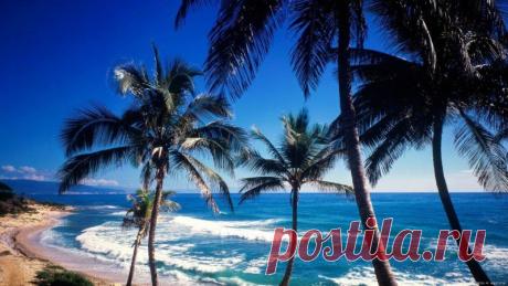 Добро пожаловать на наш сайт, посвященный отдыху в самой дружелюбной и удивительной стране – Доминиканской Республике!