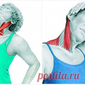 Спиральный твист шеи: упражнения для улучшению кровотока и иннервации