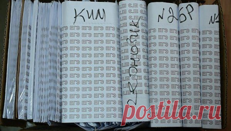 Рособрнадзор: свидетельства ЕГЭ будут действовать 4 года | РИА Новости