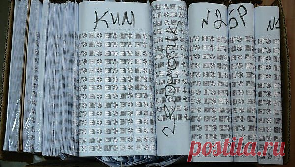 Рособрнадзор: свидетельства ЕГЭ будут действовать 4 года | РИА Новости