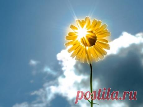 10 вещей, от которых нужно избавиться до весны: обновляем свою энергетику Весна — время динамики, движения и перемен. Изменения эти будут проходить не только вокруг нас, но и внутри, на эмоциональном и энергетическом уровне, а значит, пришла пора взбодриться и подготовить организм к весенней перезагрузке.