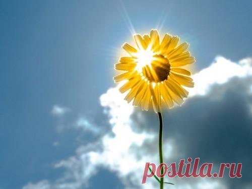 10 вещей, от которых нужно избавиться до весны: обновляем свою энергетику Весна — время динамики, движения и перемен. Изменения эти будут проходить не только вокруг нас, но и внутри, на эмоциональном и энергетическом уровне, а значит, пришла пора взбодриться и подготовить организм к весенней перезагрузке.