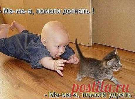 (35) Одноклассники