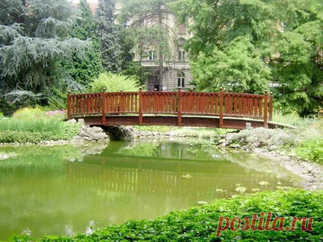 Ботанический сад Йошкар-Ола.