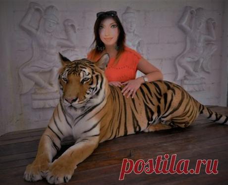 wonderful cat and big cat in the world | Facebook