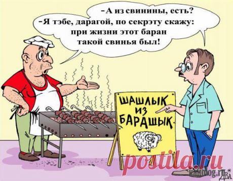 Анекдоты дня