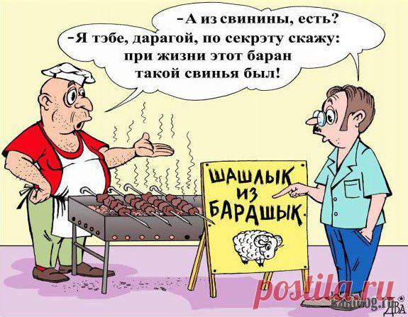 Анекдоты дня