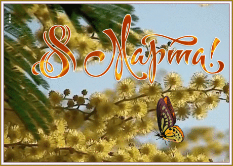 Видео открытка 8 Марта | Открытки Онлайн