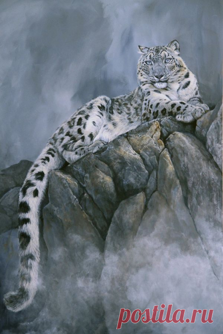 9735f321035cfc40ab77c2fdacdc0674.jpg (600×898)