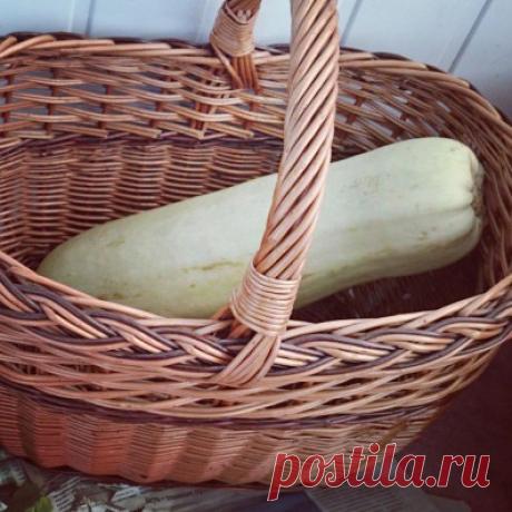 Кабачковая маска для лица – Фитнес для лица - Уникальная методика по омолаживанию кожи лица
