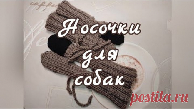 Носочки для собак, вязание спицами