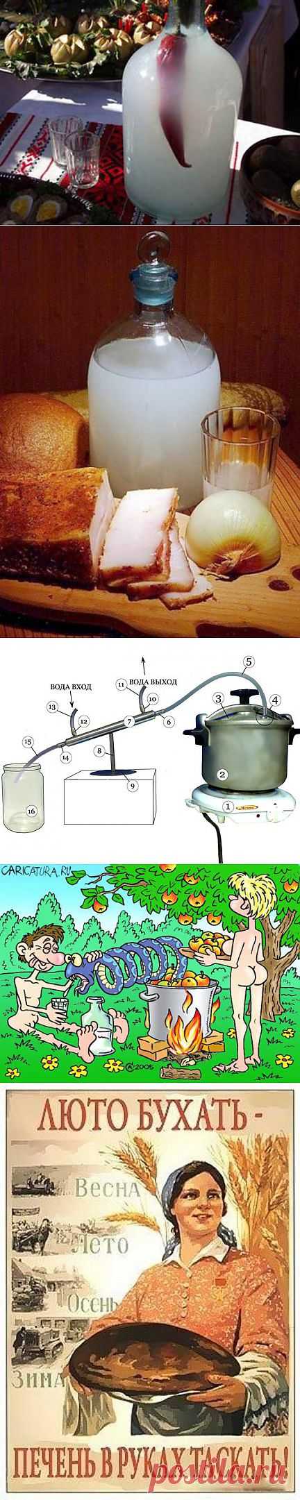 Самогон - Фишки.нет