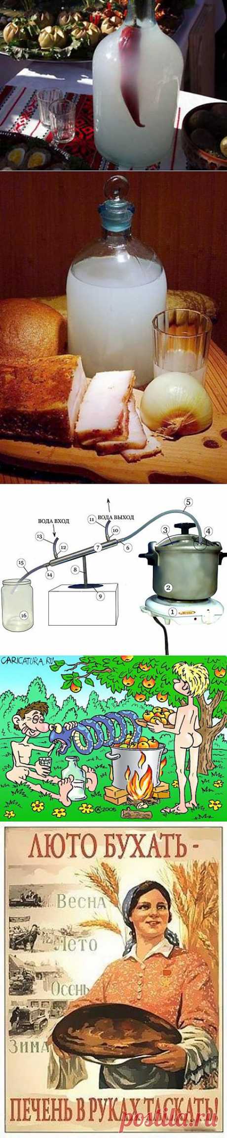 Самогон - Фишки.нет